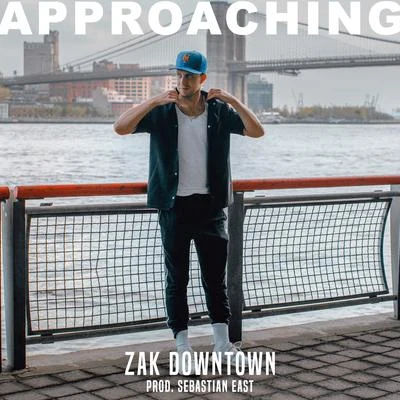 Zak Downtown/Display/MooseApproaching