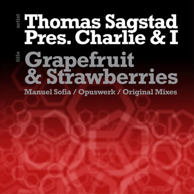 Thomas SagstadDirty VegasGrapefruit and Strawberries