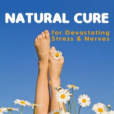 Peaceful Mind Music ConsortNatural Cure for Devastating Stress and Nerves