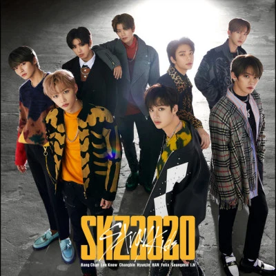 Stray KidsSKZ2020