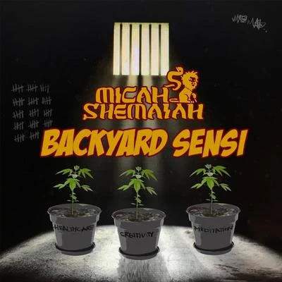 Micah Shemaiah/J.Robinson WhoDemSound/Jah MirikleBackyard Sensi