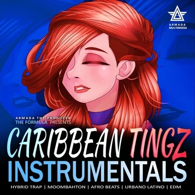 The Formula/Armada the ProducerCaribbean Tingz Vol. 1 ((Instrumental)s)