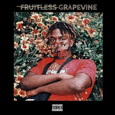 UDFruitless Grapevine