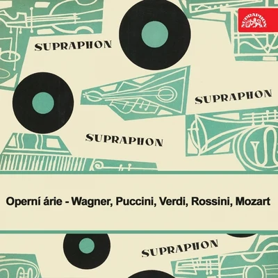 Prague Symphony Orchestra/Prague Philharmonic Choir/Marta Boháčová/Vera Soukupova/Ivo Žídek/Josef Veselka/Herbert AhlendorfWagner, Puccini, Verdi, Rossini, Mozart: Opera Arias