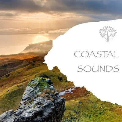 Natural SpiritCoastal Sounds