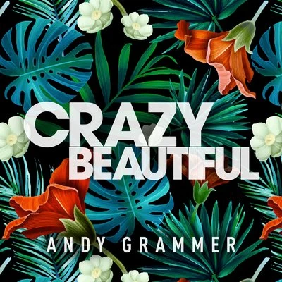 Andy GrammerCrazy Beautiful EP