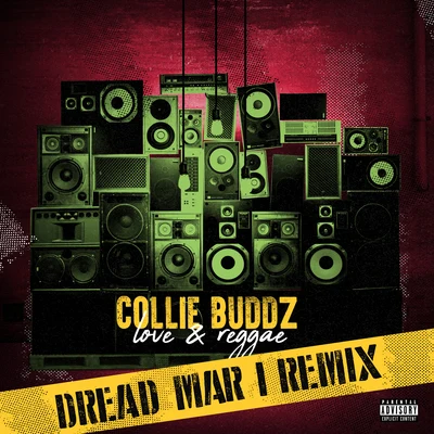 Collie BuddzLove & Reggae