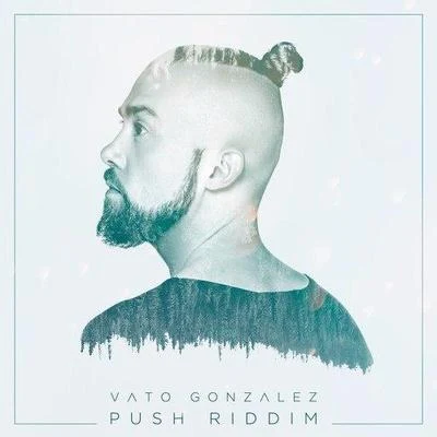 Vato GonzalezPush Riddim (Original Mix)