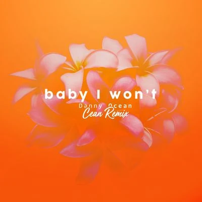 Danny Ocean/R3hab/Digital Farm AnimalsBaby I Won't (Clean Remix)