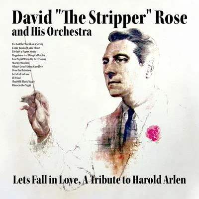 David Rose And His OrchestraDavid RoseLets Fall in Love