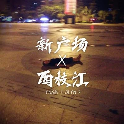 大D(DLyn)西枝江（楊花大橋Remix）