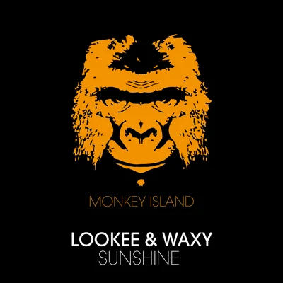 LookeeQuintino & BlasterjaxxSunshine (Remixes)