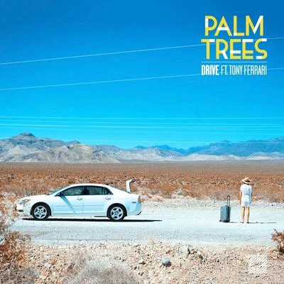 Palm TreesDrive