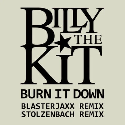 Billy The KitBurn It Down