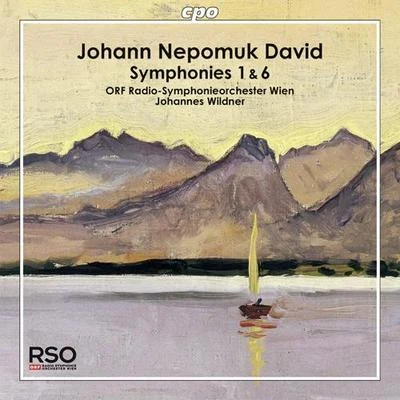 Vienna Radio Symphony OrchestraDAVID, J.N.: Symphonies Nos. 1 and 6 (Vienna Radio Symphony, Wildner)