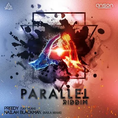 DJ Private Ryan/PreedyParallel Riddim