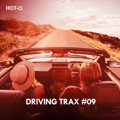 Hot-Q/The Fish House/Roque/Breno GontijoDriving Trax, Vol. 09