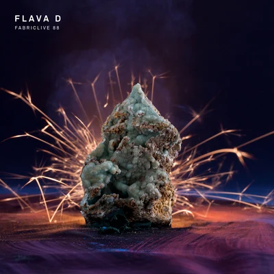 Flava DFABRICLIVE 88: Flava D