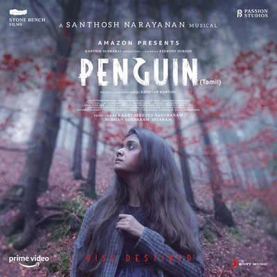 Santhosh Narayanan/Vijaynarain/Govind VasanthaPenguin (Original Motion Picture Soundtrack)