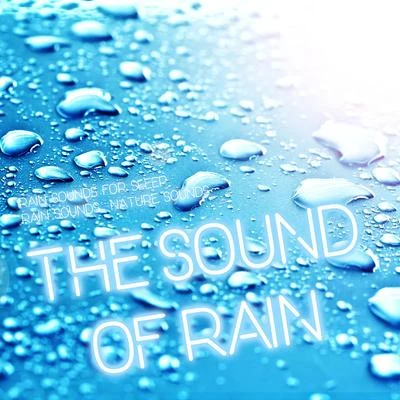 Nature SoundsThe Sound of Rain