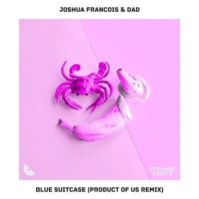 Joshua Francois/CATALI/Mauro Valdemi/CCIITTYY/Ameria/DAD/CHAMPANE/Parula/Callum McBride/YungSnapLordeBlue Suitcase (Product of us Remix)