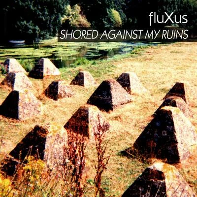 FLUXUSShored Against My Ruins