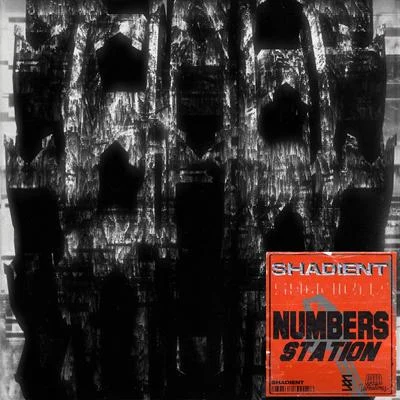 Shadient/REZZ/fknsydNumbers Station