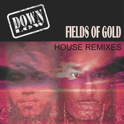 Down LowFields of Gold (Remixes)