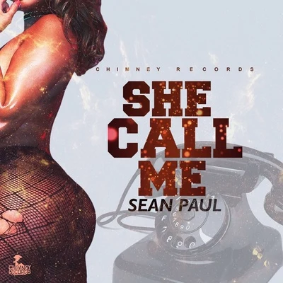 Sean PaulShe Call Me