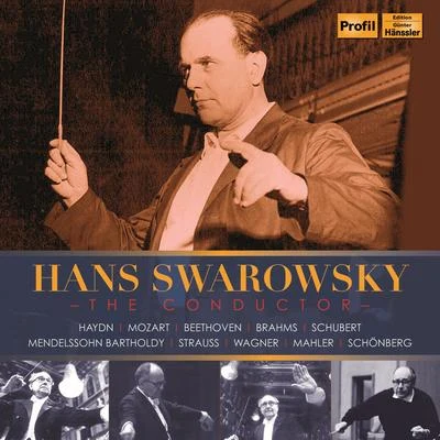 Sona CervenaHaydn, Mozart & Others: Orchestral Works