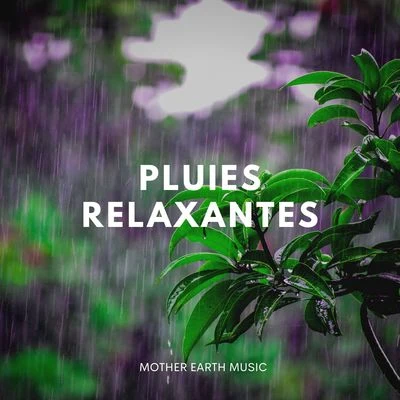 All Night Sleeping Songs to Help You Relax/Zen Méditation Ambiance/Ensemble de Musique Zen RelaxantePluies Relaxantes