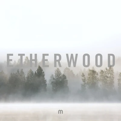 Etherwood/Fred V/Zara Kershaw/DRS/Lily Budiasa/Sigrún StellaClimbing (Radio Edit)