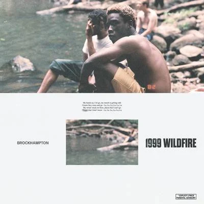 BROCKHAMPTON/Dua Lipa1999 WILDFIRE