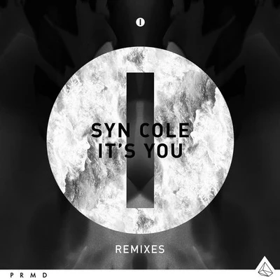 Syn Cole/Armin van Buuren/Ana Criado/Porter Robinson/Avicii/Mat Zo/Laidback Luke/Nicky Romero/Lana Del Rey/Steve AngelloIts You (Remixes)