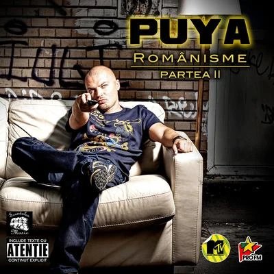 Sisu Tudor/PuyaRomanisme - partea a 2-a (Romanisme - 2nd part)