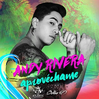 Totoy El Frio/Andy RiveraAprovéchame