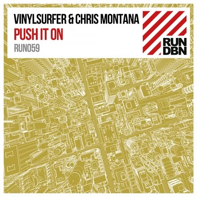 VinylsurferPush It On