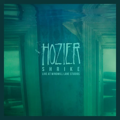 HozierShrike (Live At Windmill Lane Studios)