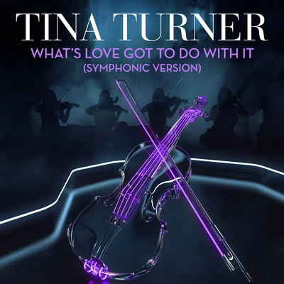 Tina TurnerWhats Love Got to Do With It (Symphonic Version)