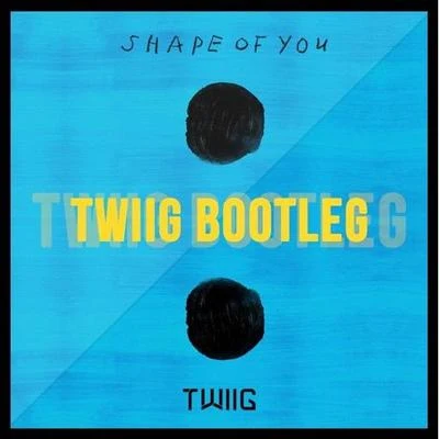 TWIIGShape Of You (TWIIG Bootleg)