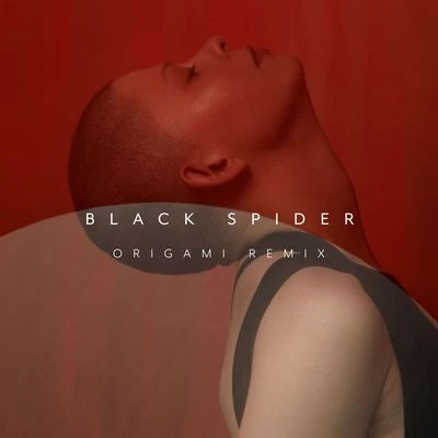 KovacsBlack Spider (Origami Remix)