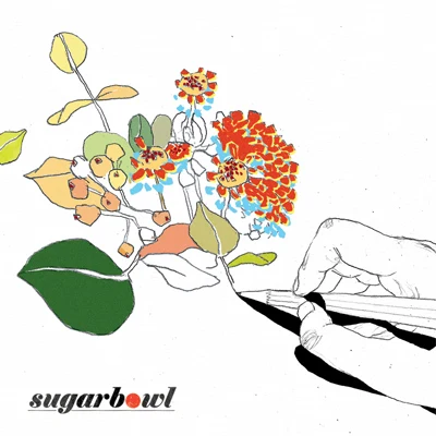 Sugarbowl/JKyun오늘 밤