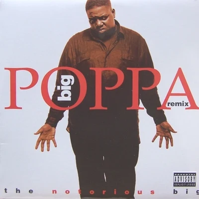 Ro James/The Notorious B.I.G.Big Poppa (Remix)