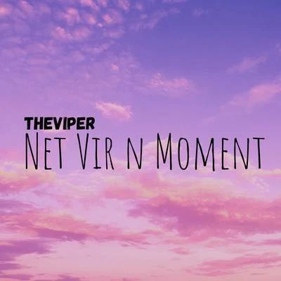 The ViperNet Vir N Moment