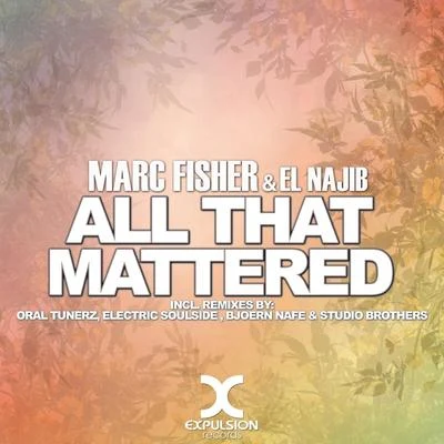 Marc FisherAll That Mattered