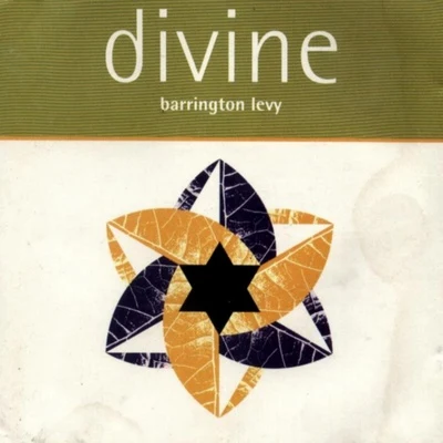 Barrington LevyDivine