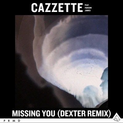 CAZZETTEMissing You (Dexter Remix)