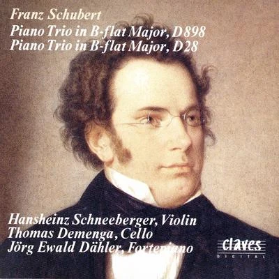 Thomas larcher/Hansheinz SchneebergerSchubert: Piano Trios D. 898 & D. 28