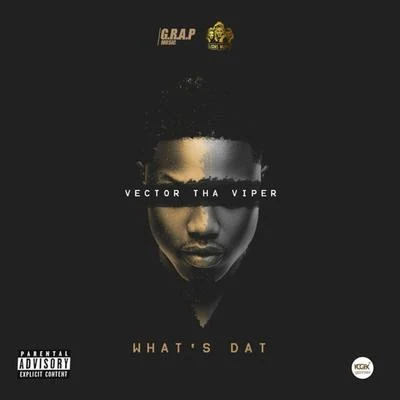 Vector/Seyi ShayWhats That