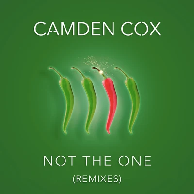 Camden CoxLeftwing : KodyNot the One (Remixes)